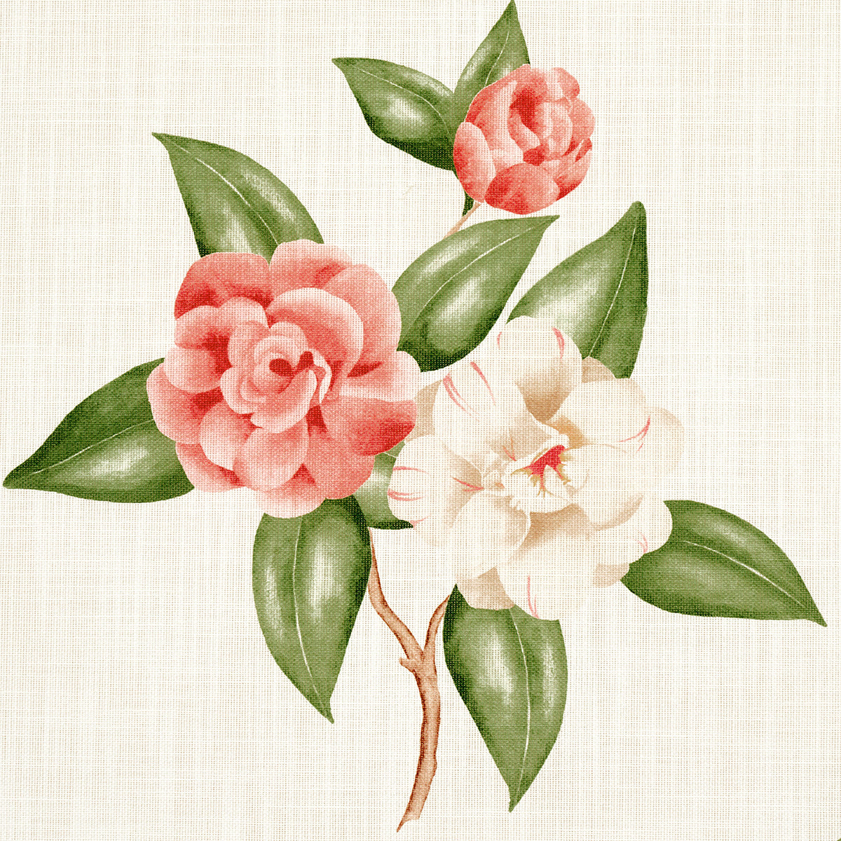 CASABLANCA-FLORAL-INDOOR-OUTDOOR-CORAL-SCHUMACHER-180911 - Schumacher Fabric