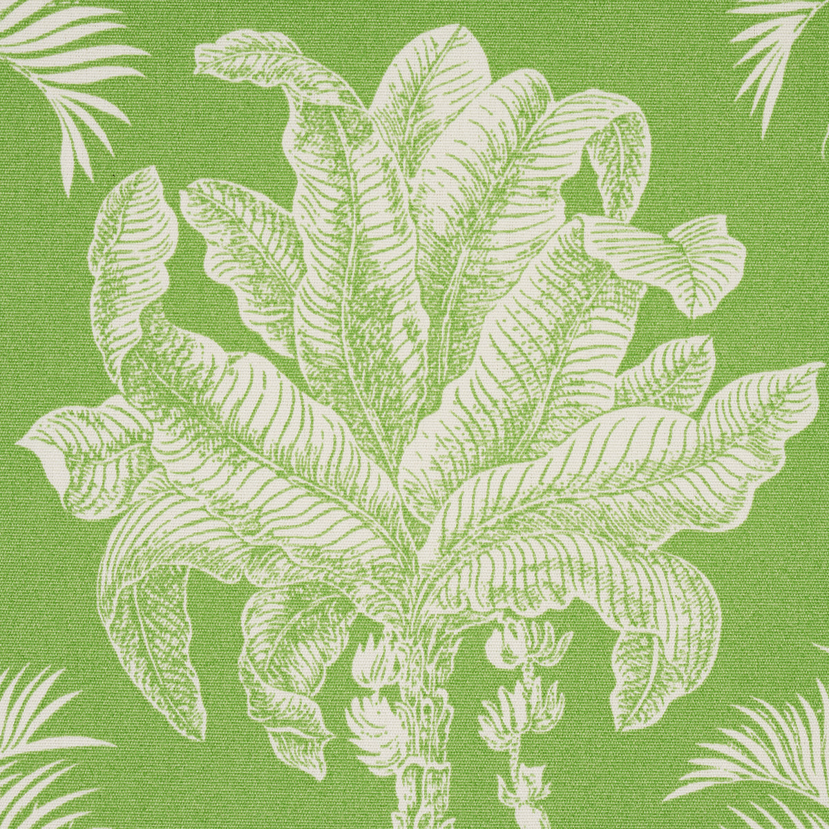 GRAND-PALMS-INDOOR-OUTDOOR-GREEN-SCHUMACHER-180960 - Schumacher Fabric