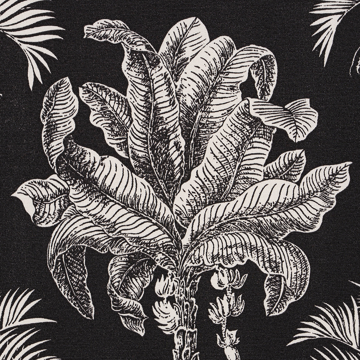 Grand Palms Indoor/Outdoor - Black - Schumacher 180962 Fabric - Schumacher Fabric