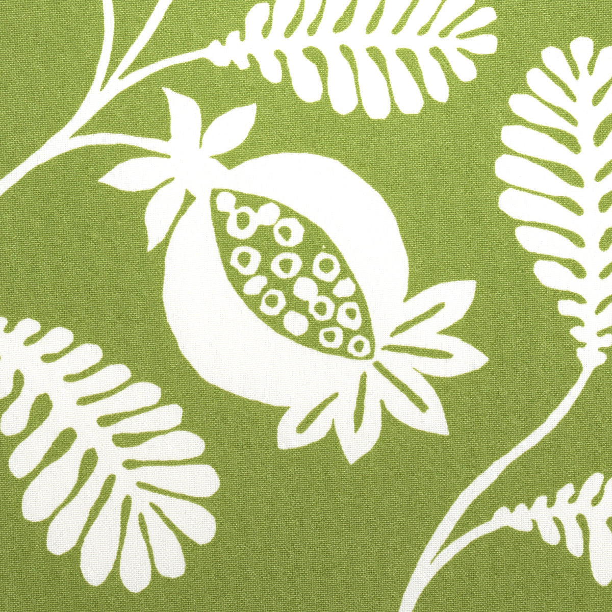 LANZADERA-VINE-INDOOR-OUTDOOR-HONEYDEW-SCHUMACHER-180991 - Schumacher Fabric