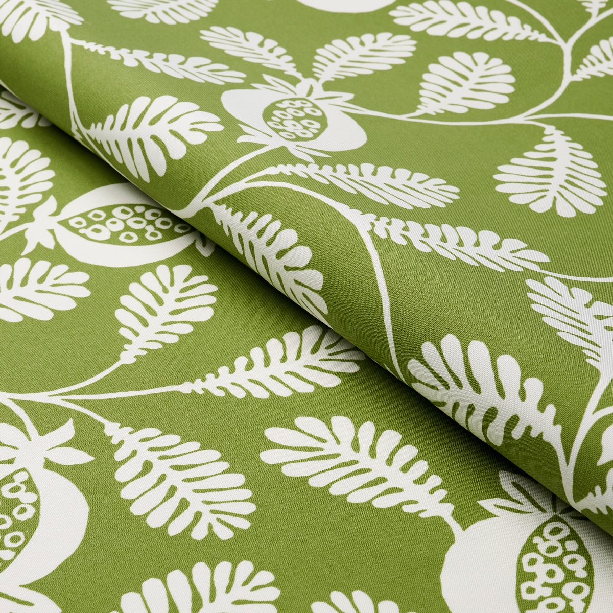 LANZADERA-VINE-INDOOR-OUTDOOR-HONEYDEW-SCHUMACHER-180991 - Schumacher Fabric