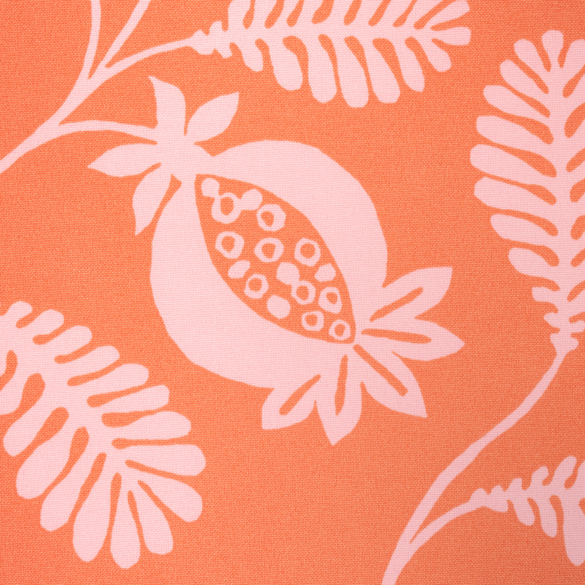 LANZADERA-VINE-INDOOR-OUTDOOR-MELON-SCHUMACHER-180992 - Schumacher Fabric