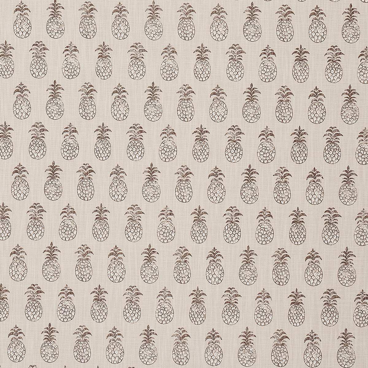 PIA-COVE-INDOOR-OUTDOOR-COCONUT-SCHUMACHER-181022 - Schumacher Fabric