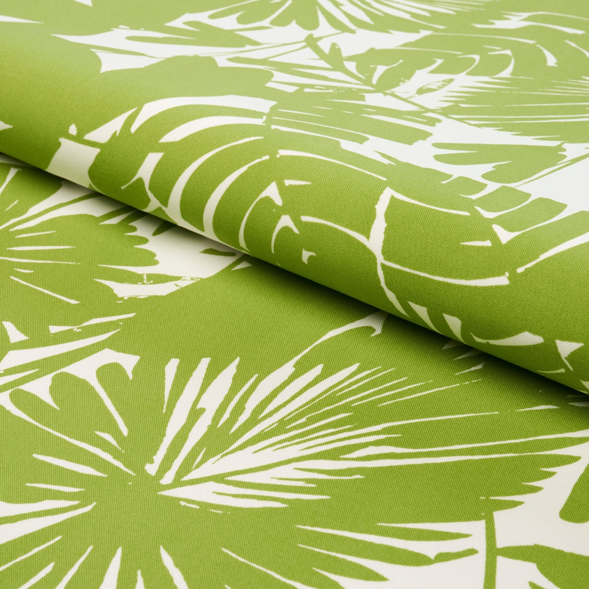 PALISADES-PALM-INDOOR-OUTDOOR-FERN-SCHUMACHER-181071 - Schumacher Fabric