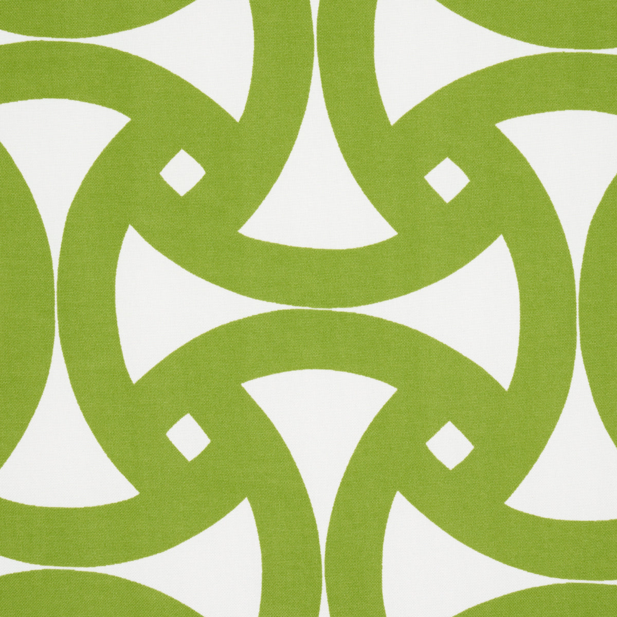 SANTORINI-PRINT-INDOOR-OUTDOOR-FERN-SCHUMACHER-181081 - Schumacher Fabric