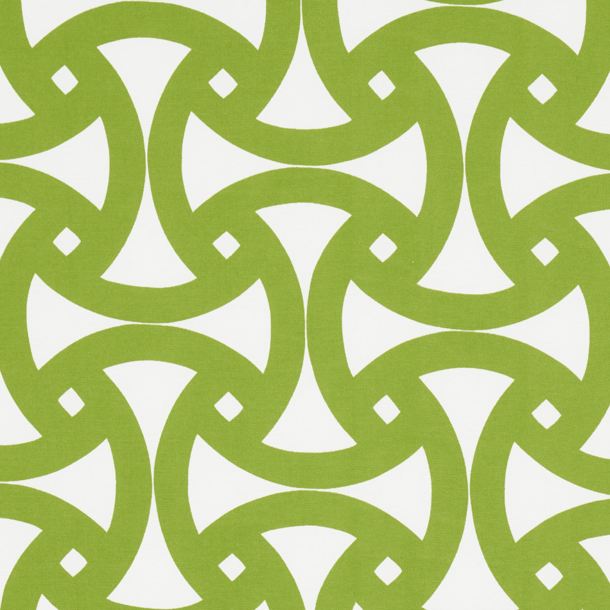 SANTORINI-PRINT-INDOOR-OUTDOOR-FERN-SCHUMACHER-181081 - Schumacher Fabric
