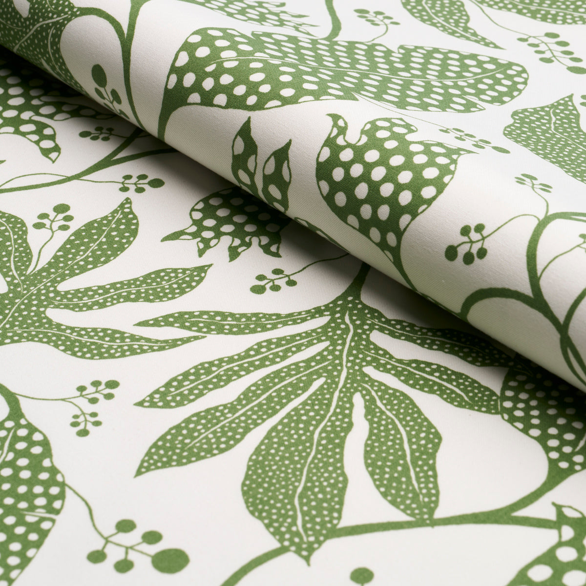 POLKA-DOT-JUNGLE-GREEN-IVORY-SCHUMACHER-181652 - Schumacher Fabric