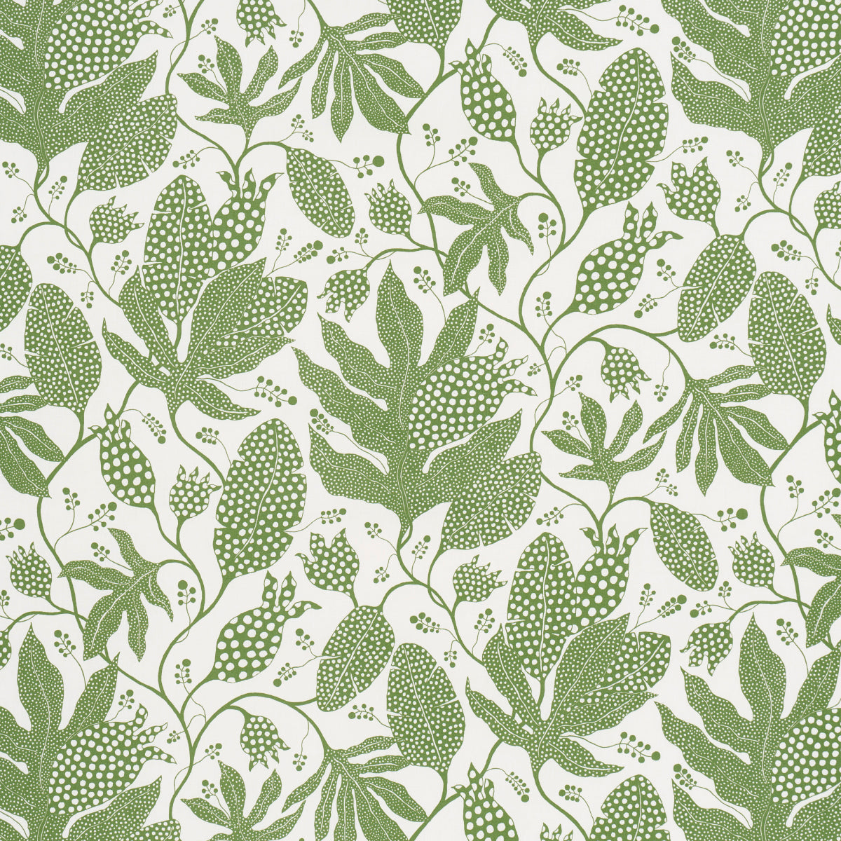 POLKA-DOT-JUNGLE-GREEN-IVORY-SCHUMACHER-181652 - Schumacher Fabric