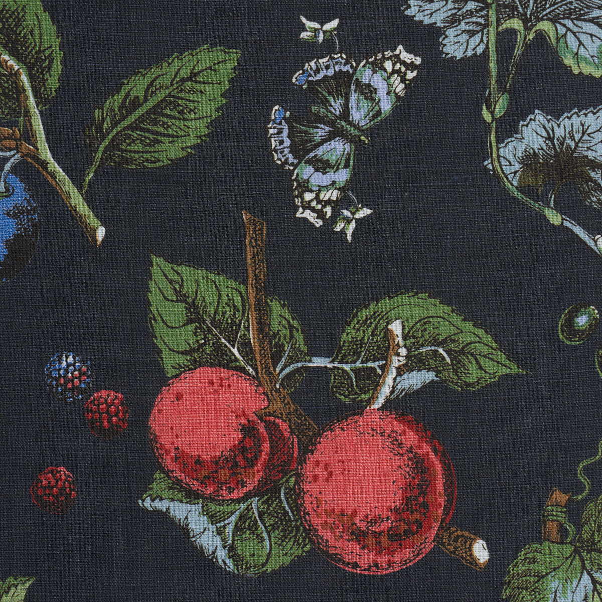BERRY-GROVE-NOIR-SCHUMACHER-181890 - Schumacher Tela