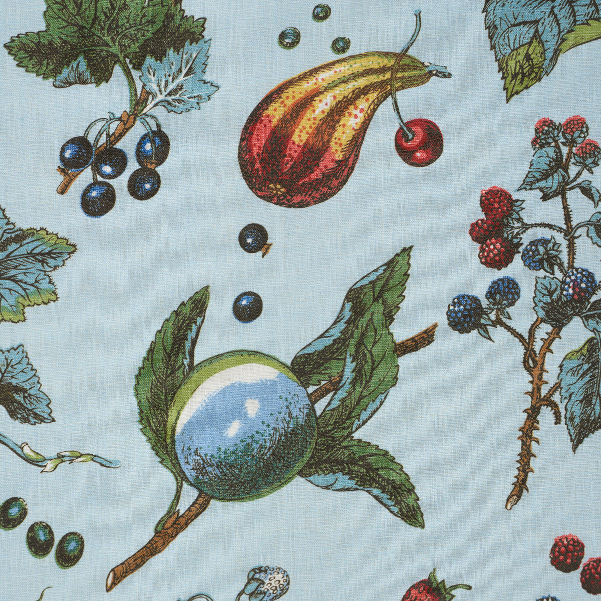 BERRY-GROVE-SKY-SCHUMACHER-181891 - Schumacher Tela