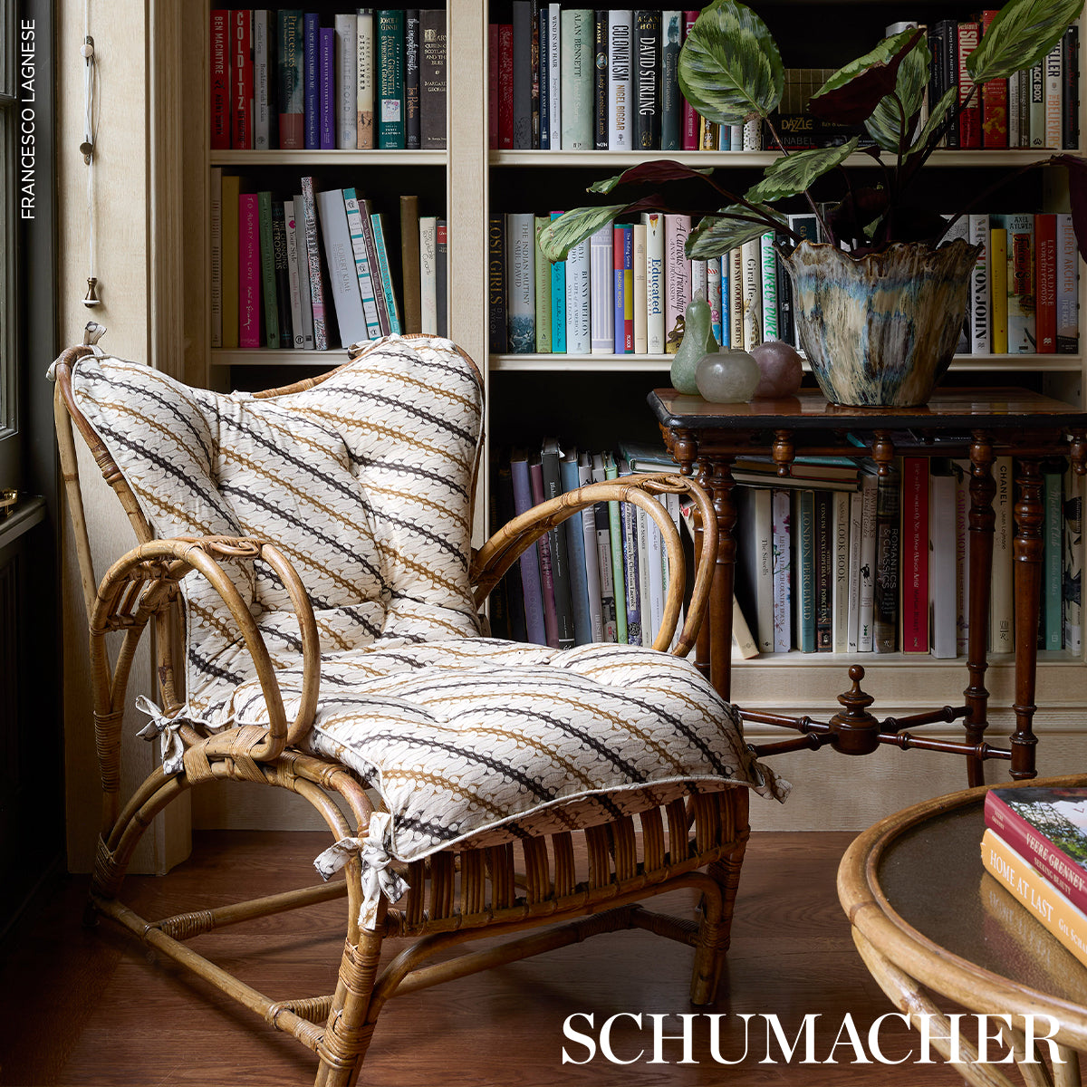 RONNIE-BROWN-SCHUMACHER-182052 - Schumacher Fabric