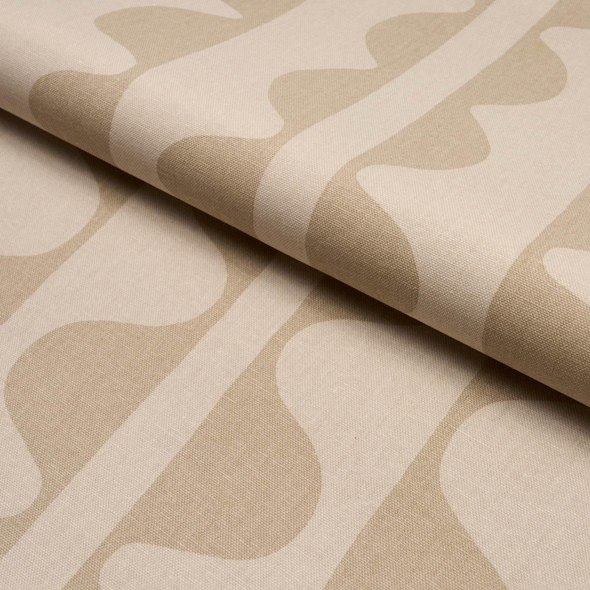 DRIFT-WAFER-SCHUMACHER-182461