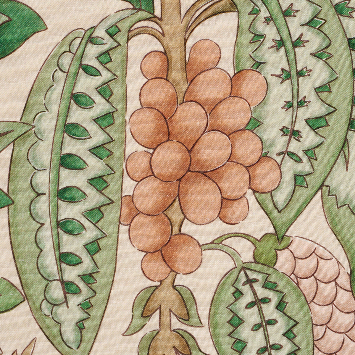 FRUITS-DE-SAISON-APRICOT-SCHUMACHER-182482 - Schumacher Tela