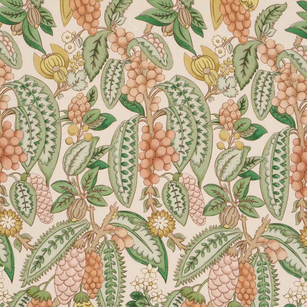 FRUITS-DE-SAISON-APRICOT-SCHUMACHER-182482 - Schumacher Tela