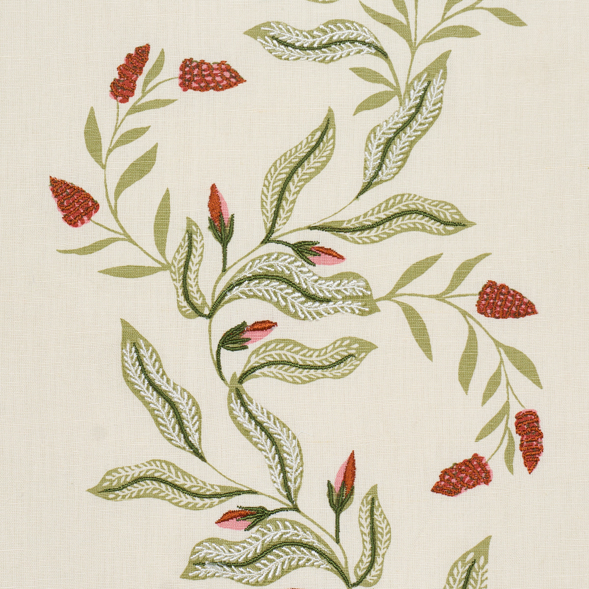 VAGARY-VINES-WATERMELON-SCHUMACHER-182642