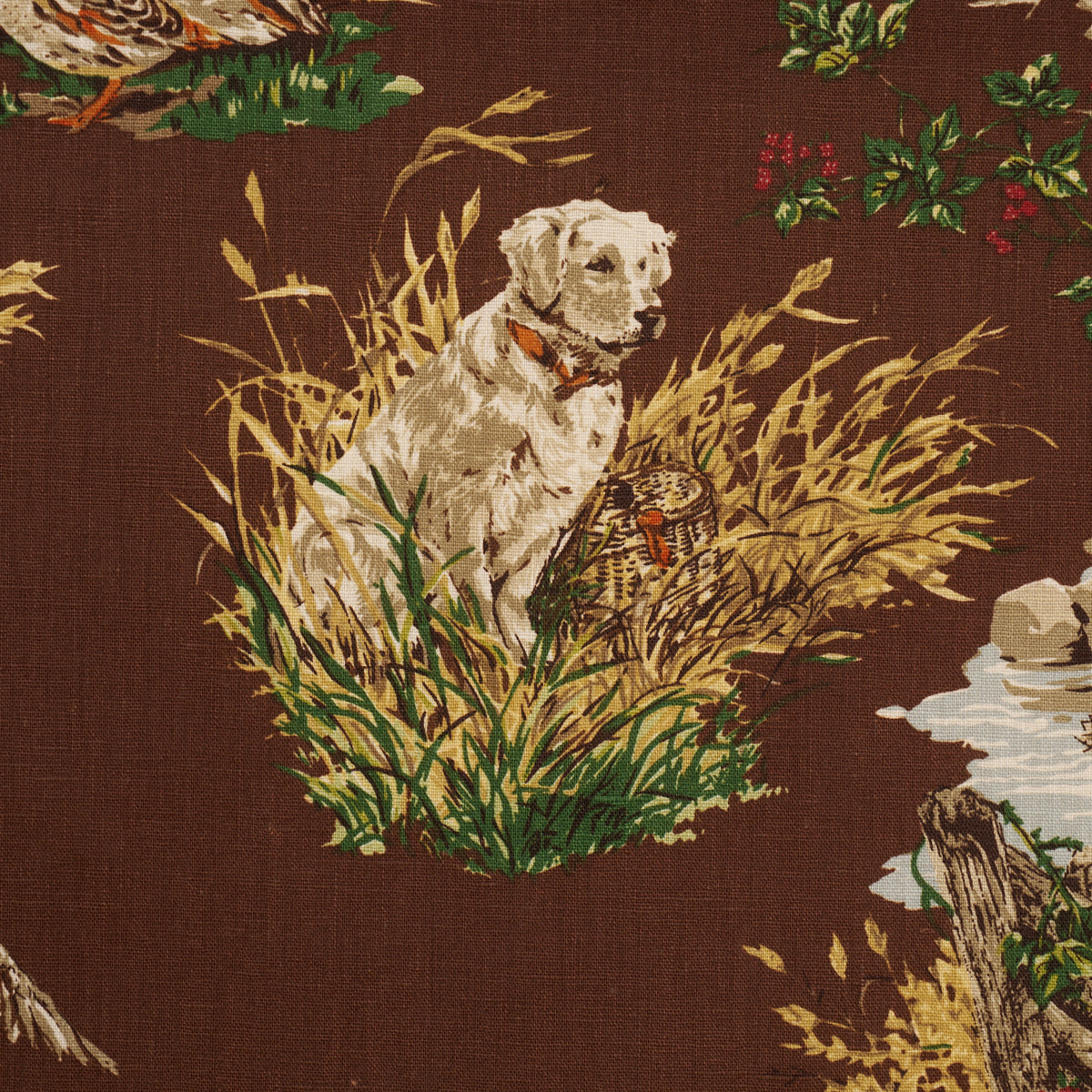 DOG-DUCK-BROWN-SCHUMACHER-182661 - Schumacher Fabric