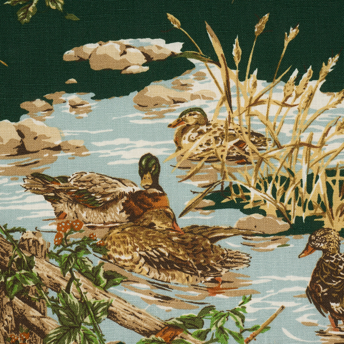 DOG-DUCK-VERDANT-SCHUMACHER-182662 - Schumacher Fabric