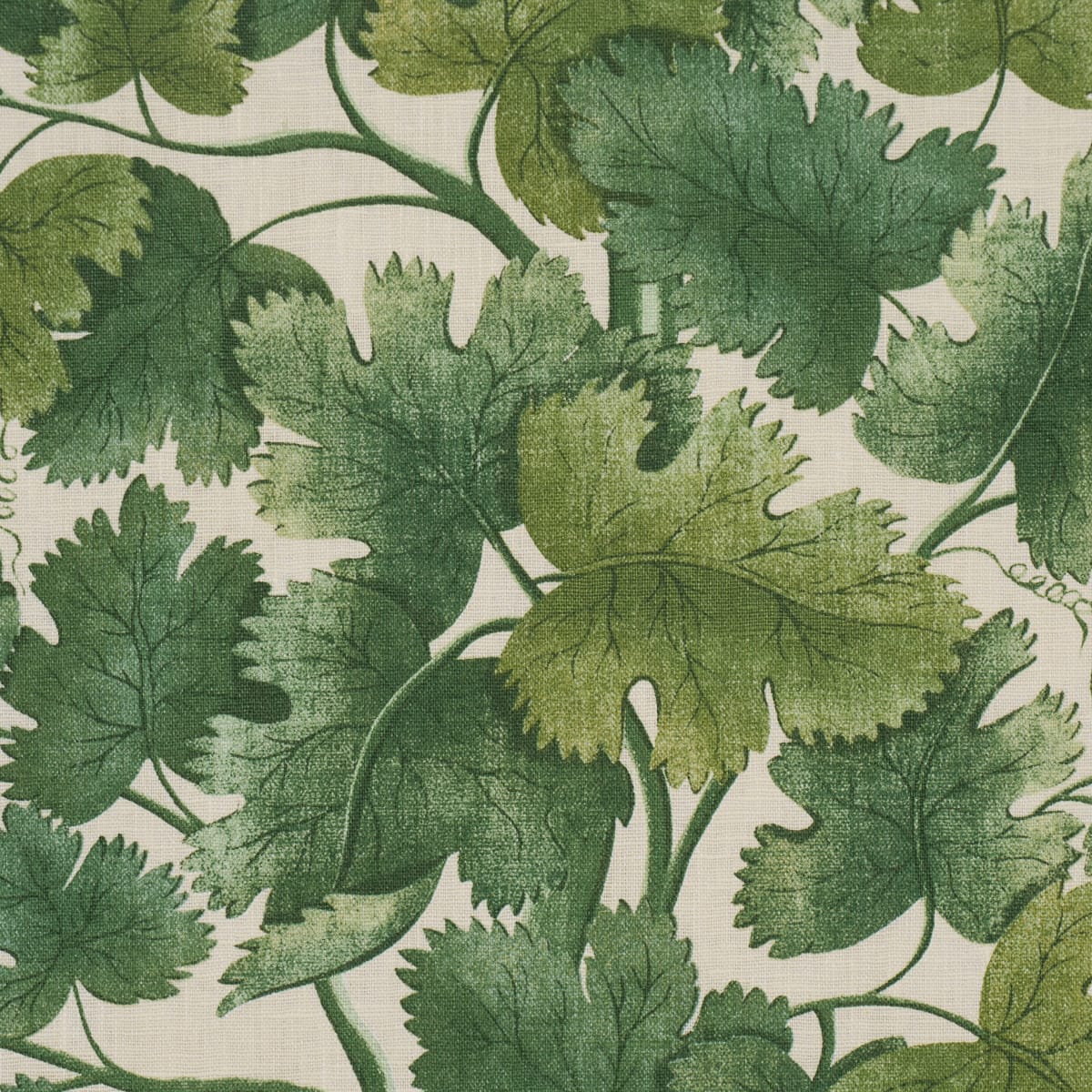 EDINBURGH-VINE-FOREST-SCHUMACHER-182791 - Schumacher Fabric