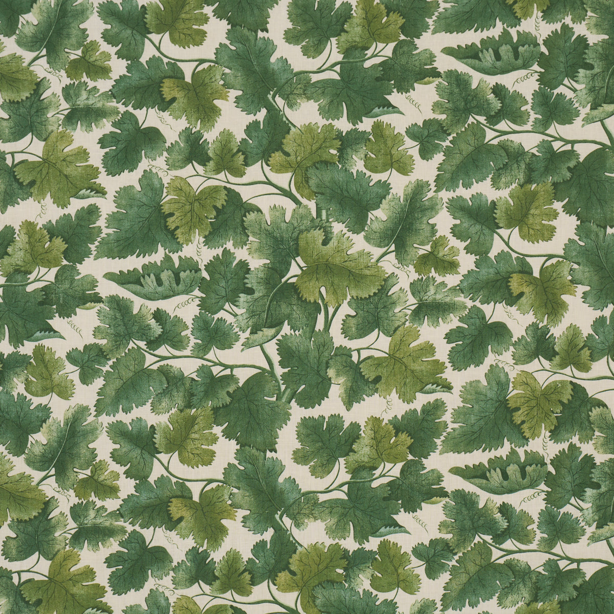 Edinburgh Vine - Forest - Schumacher 182791 Fabric - Schumacher Fabric