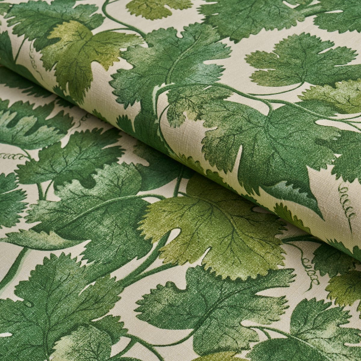 EDINBURGH-VINE-FOREST-SCHUMACHER-182791 - Schumacher Fabric