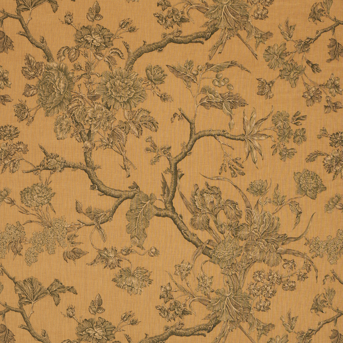 Inverness Garden - Document - Schumacher Fabric