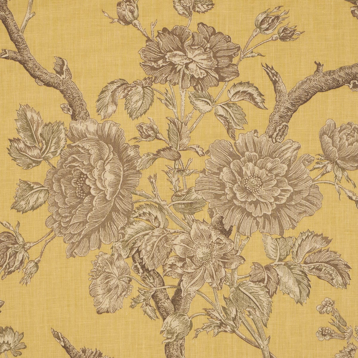 INVERNESS-GARDEN-BUTTERCUP-SCHUMACHER-182831 - Schumacher Fabric