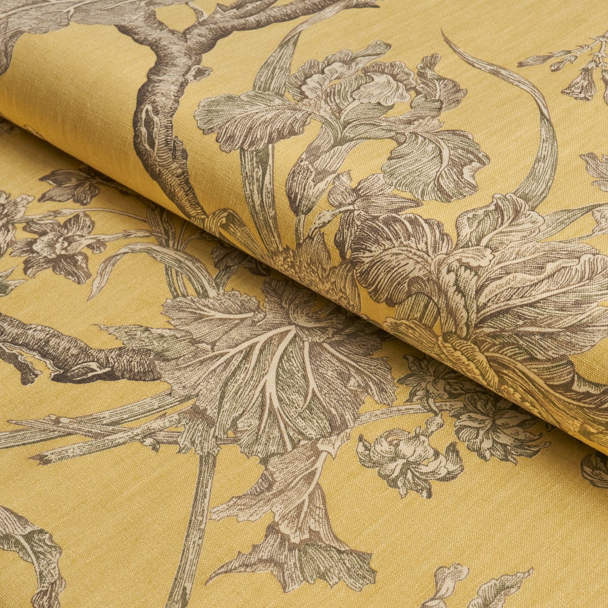 INVERNESS-GARDEN-BUTTERCUP-SCHUMACHER-182831 - Schumacher Fabric