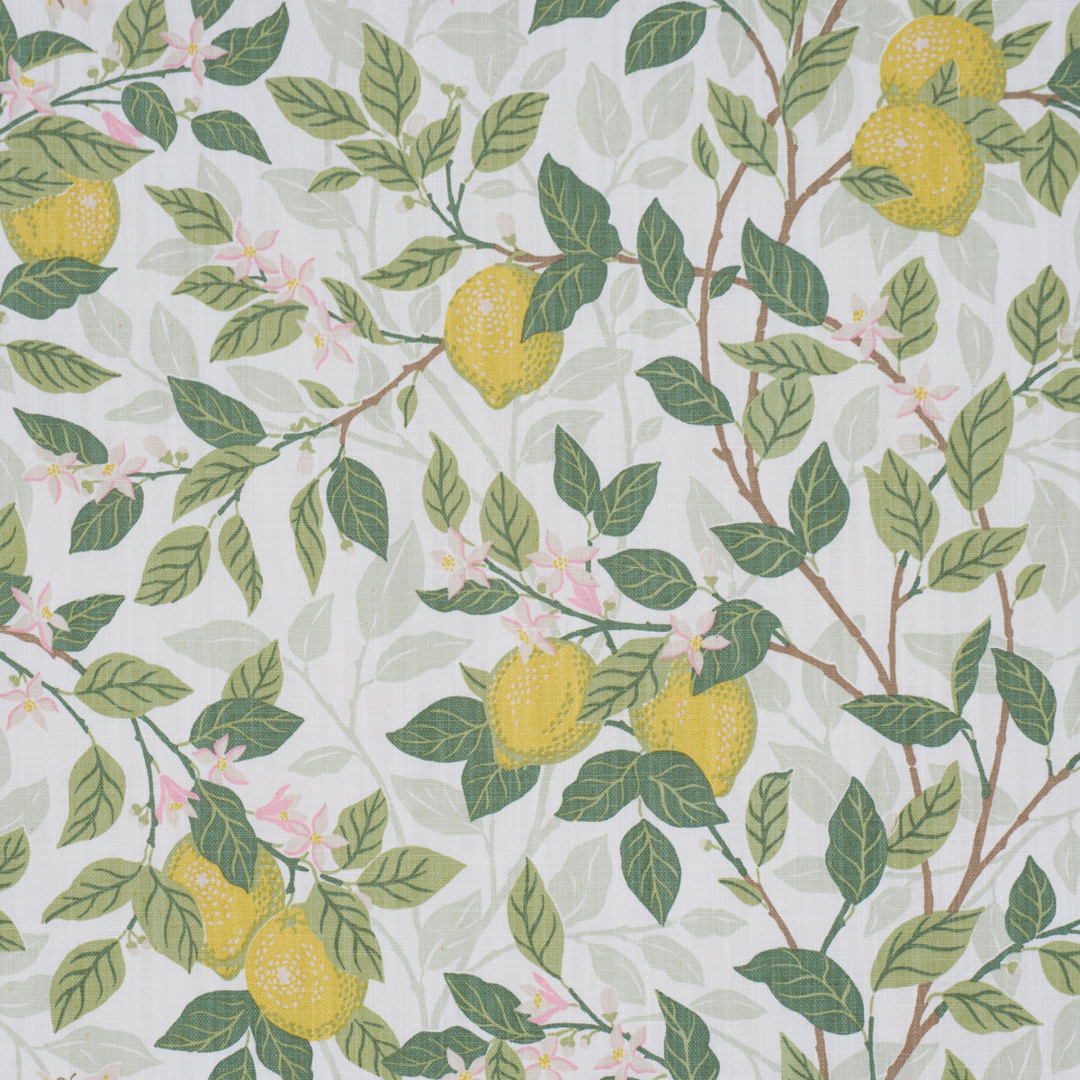 Citronträd - Ivory And Leaf - Schumacher 182950 Fabric - Schumacher Fabric