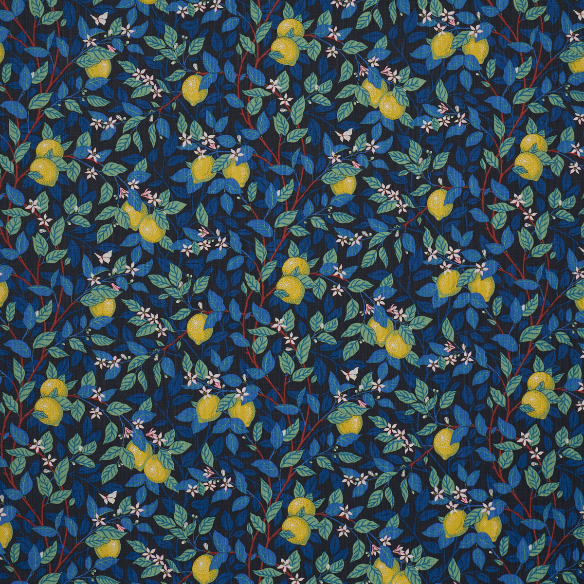 Citronträd - Spruce And Blue - Schumacher 182952 Fabric - Schumacher Fabric