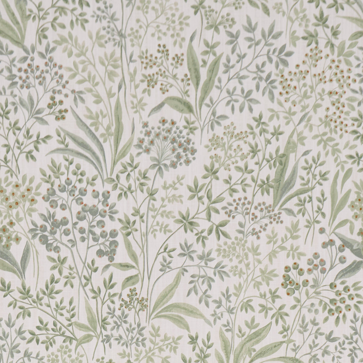 Nocturne - Sage - Schumacher 183020 Fabric - Schumacher Fabric