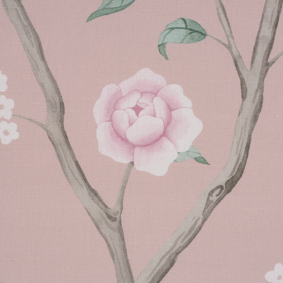 PARADISE-BIRDS-BLUSH-SCHUMACHER-183031 - Schumacher Fabric