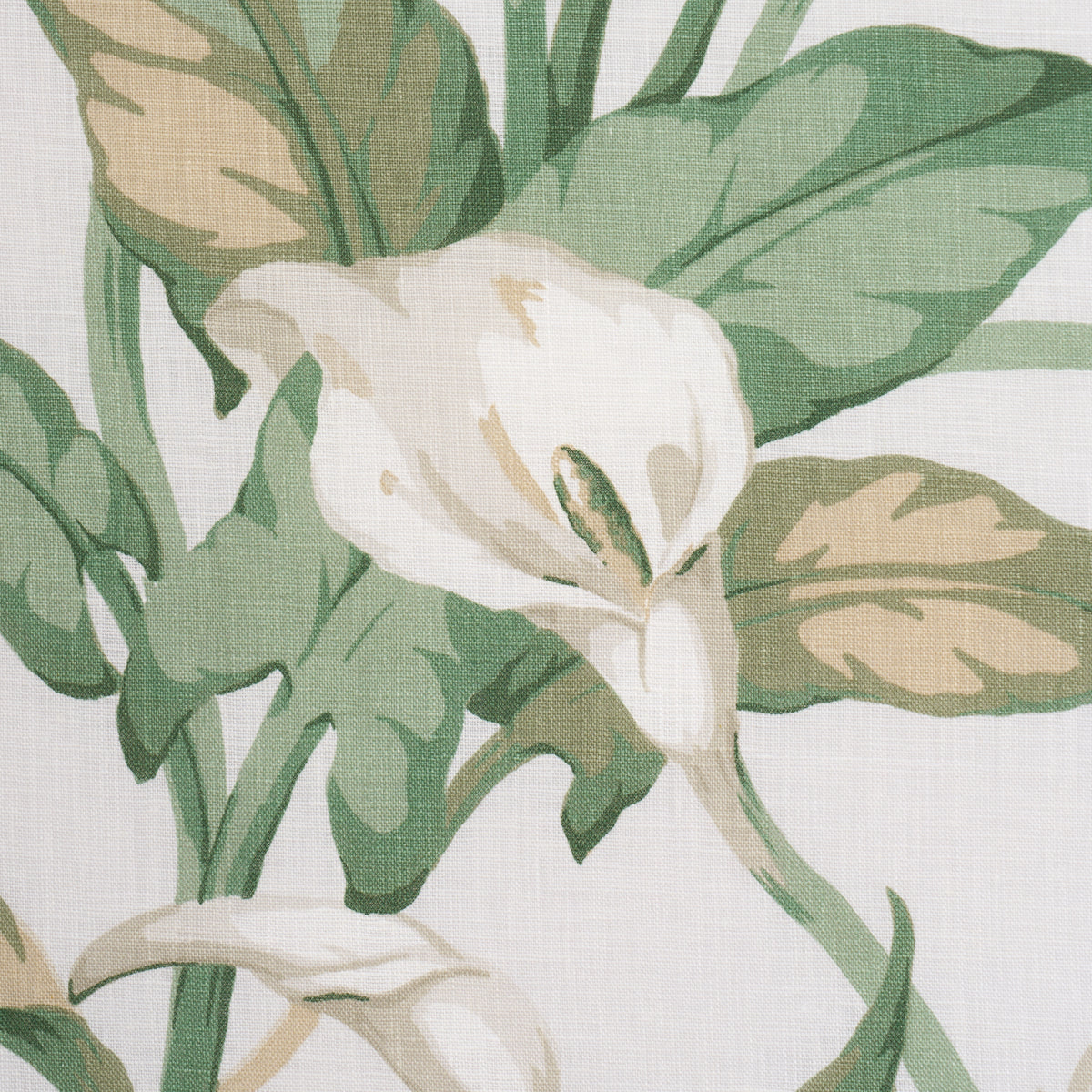 Arum Lilies - Ivory - Schumacher 183120 Fabric - Schumacher Fabric