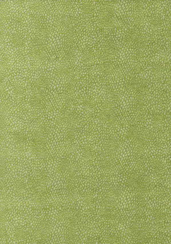 oriole-lime-osborne-little-f6461-03