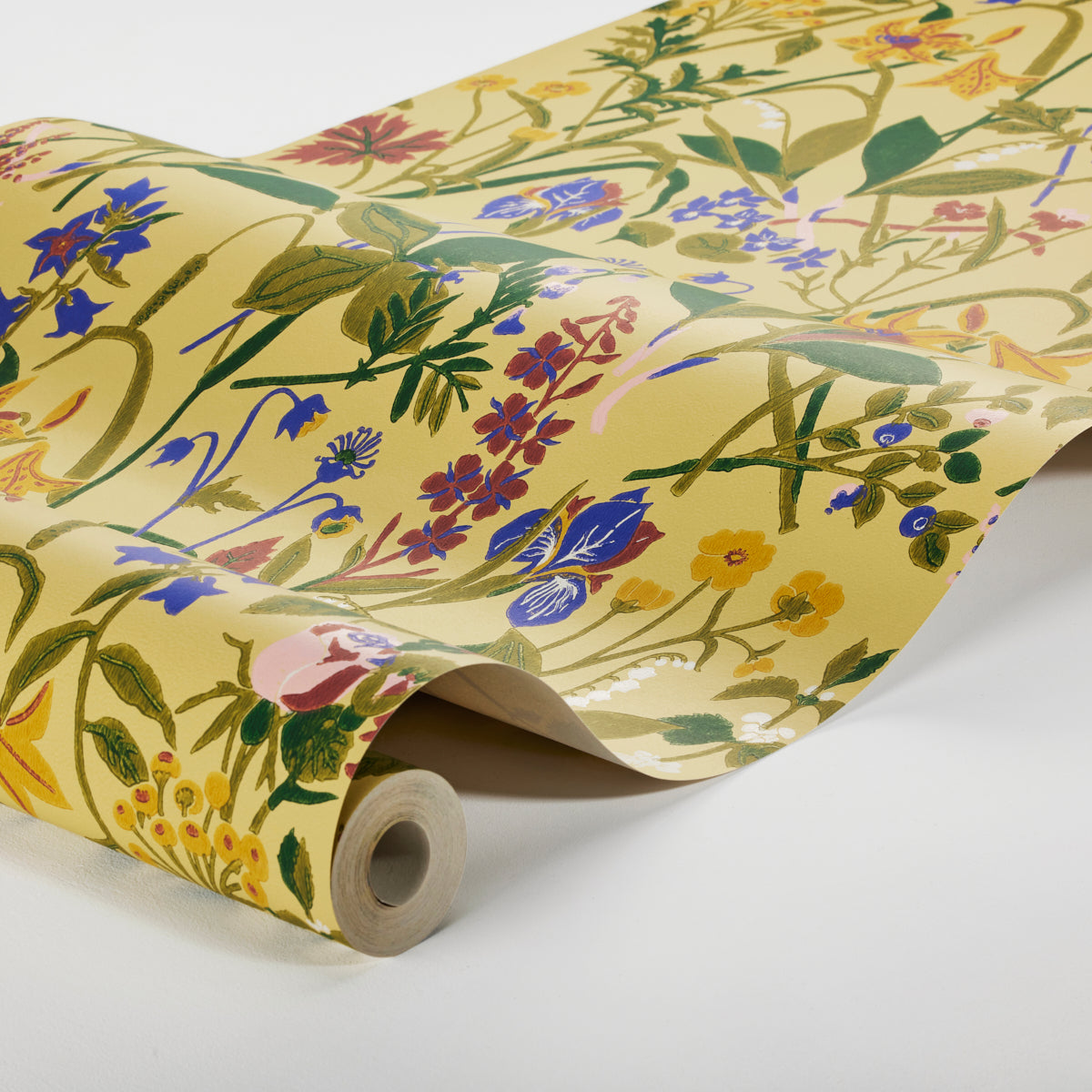 ROS-OCH-LILJA-OCHRE-SCHUMACHER-1963