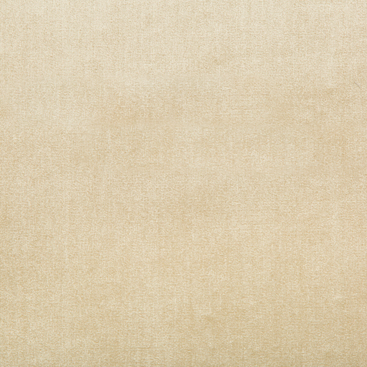 Duchess Velvet - Beige