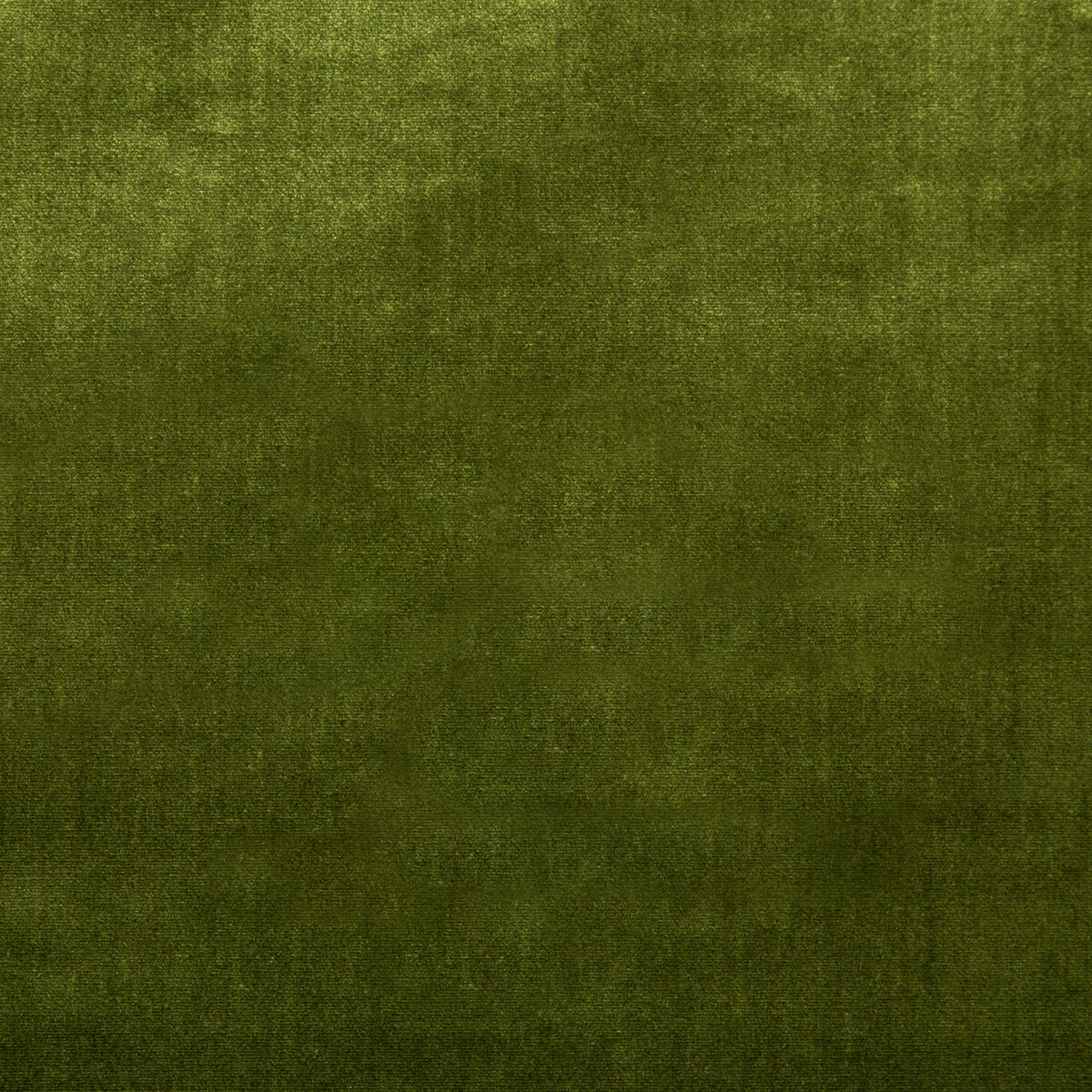 Duchess Velvet - Olive - Lee Jofa Fabric