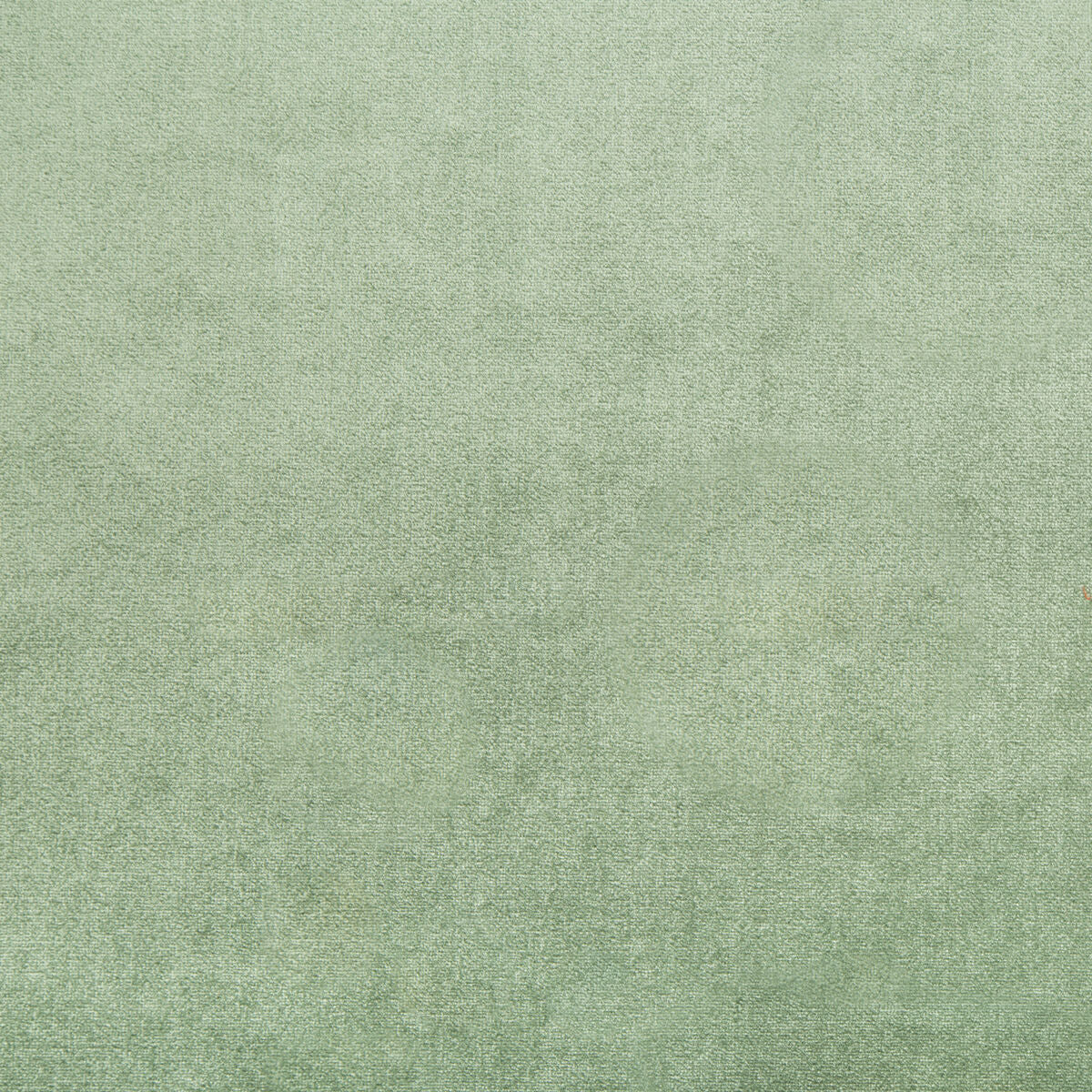 Duchess Velvet - Juniper - Lee Jofa Fabric