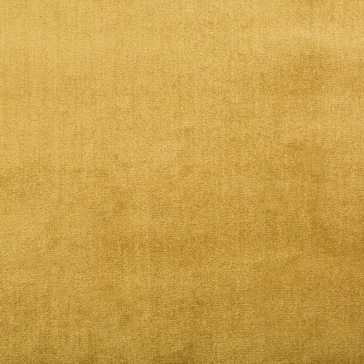 Duchess Velvet - Oro - Lee Jofa Fabric