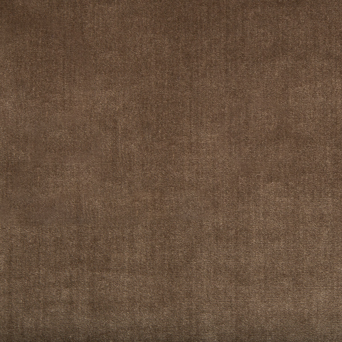 Duchess Velvet - Mink - Lee Jofa Fabric