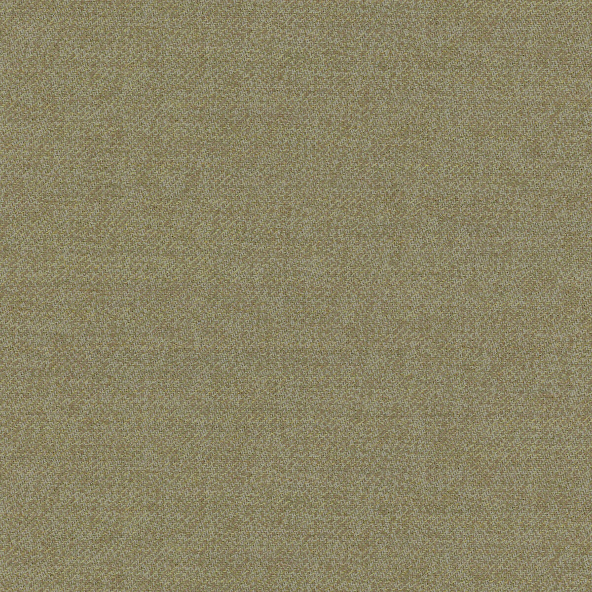Quartzite Wool - Tarragon