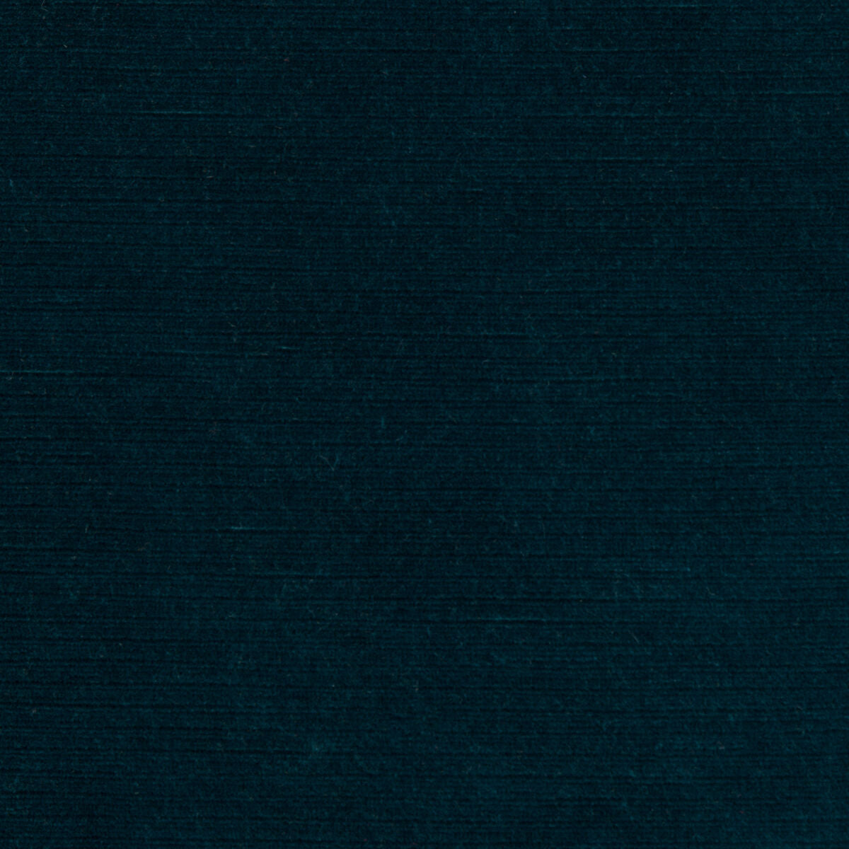 Gemma Velvet - Midnight - Lee Jofa Tela