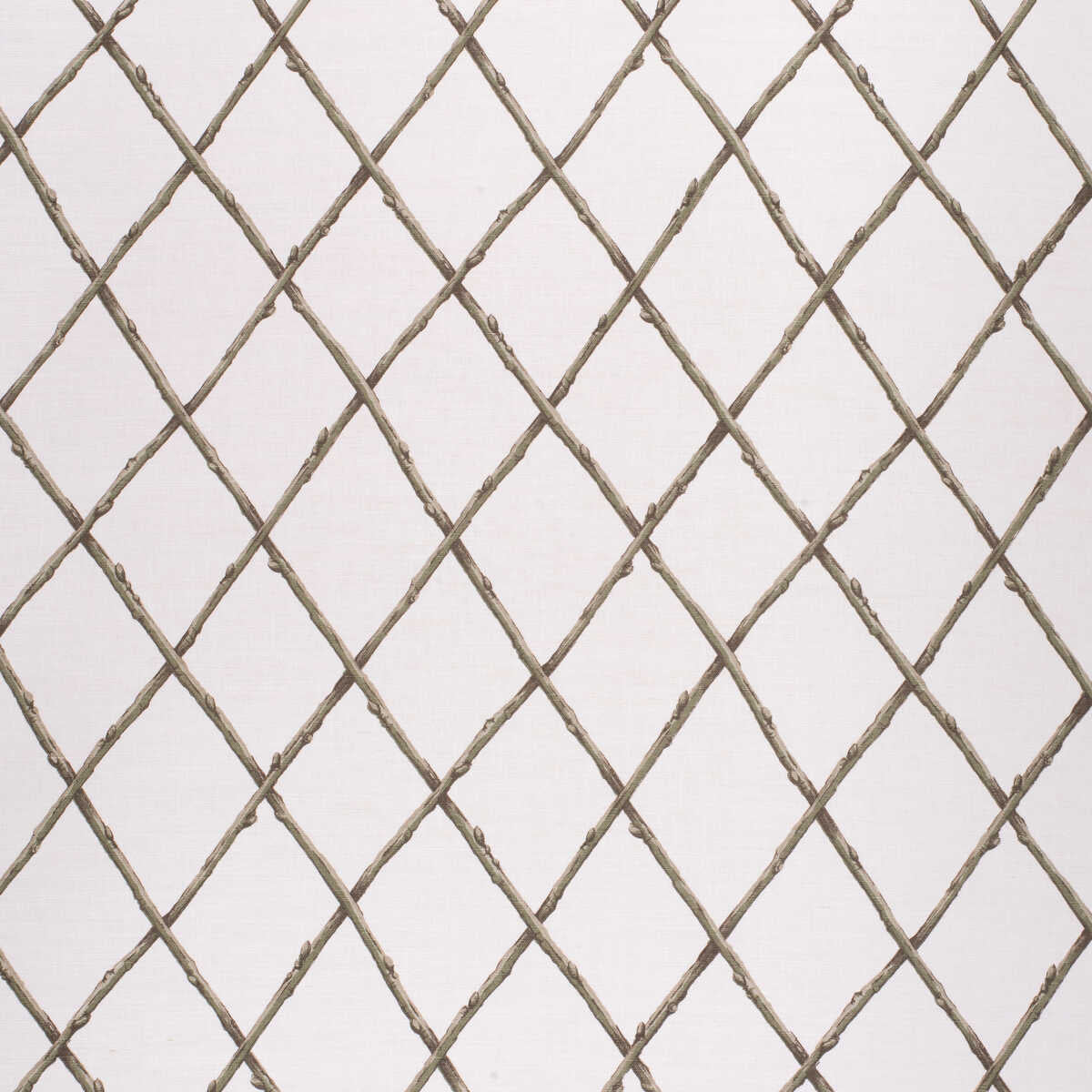 Bare Twig Trellis - Green