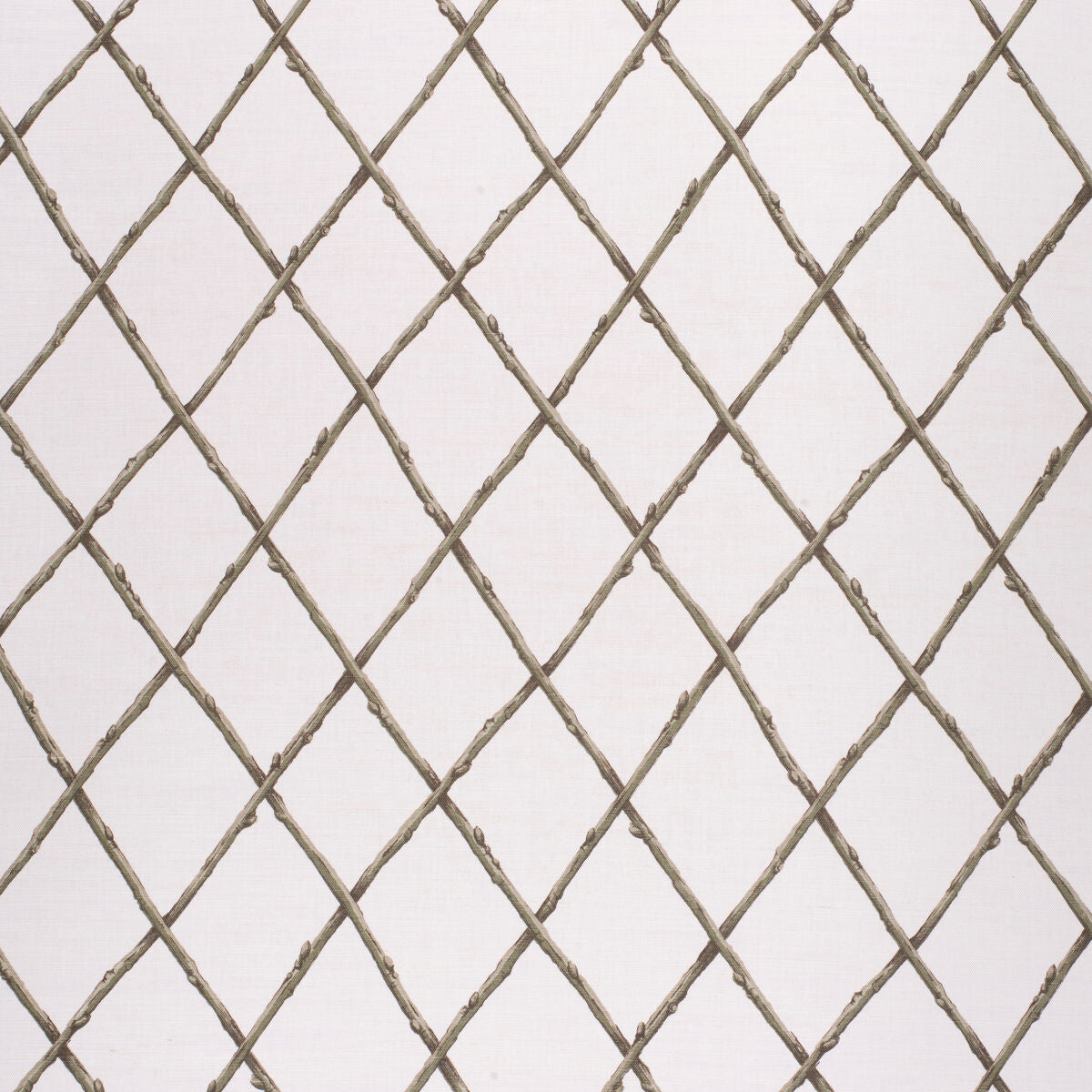 Bare Twig Trellis - Green - Lee Jofa Fabric