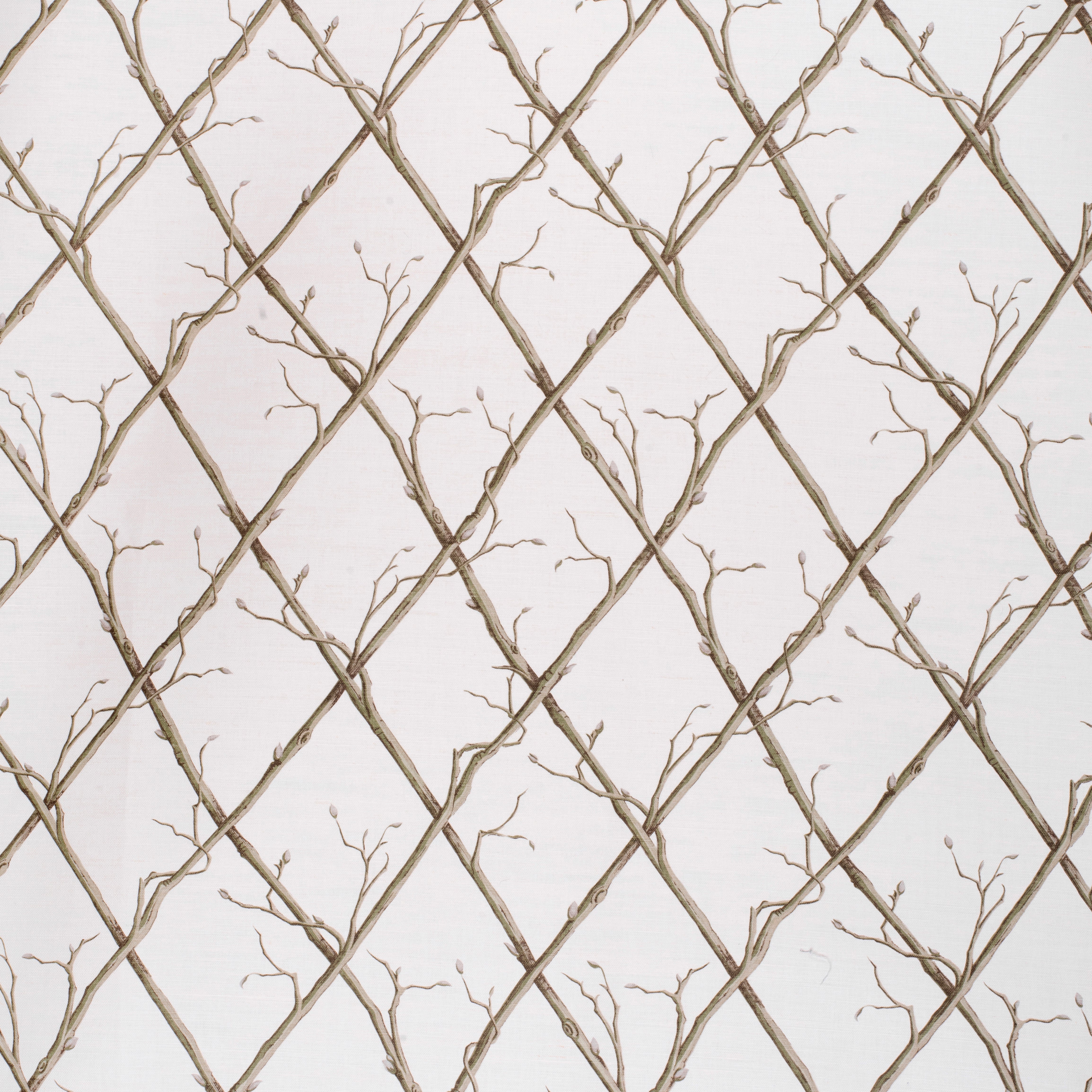Twig Trellis - Green/White - Lee Jofa Fabric
