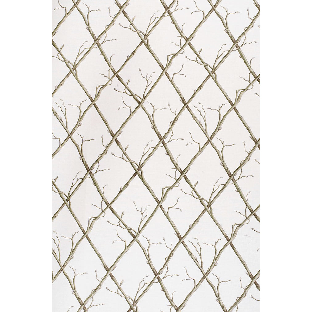 Twig Trellis - Green/White - Lee Jofa Fabric