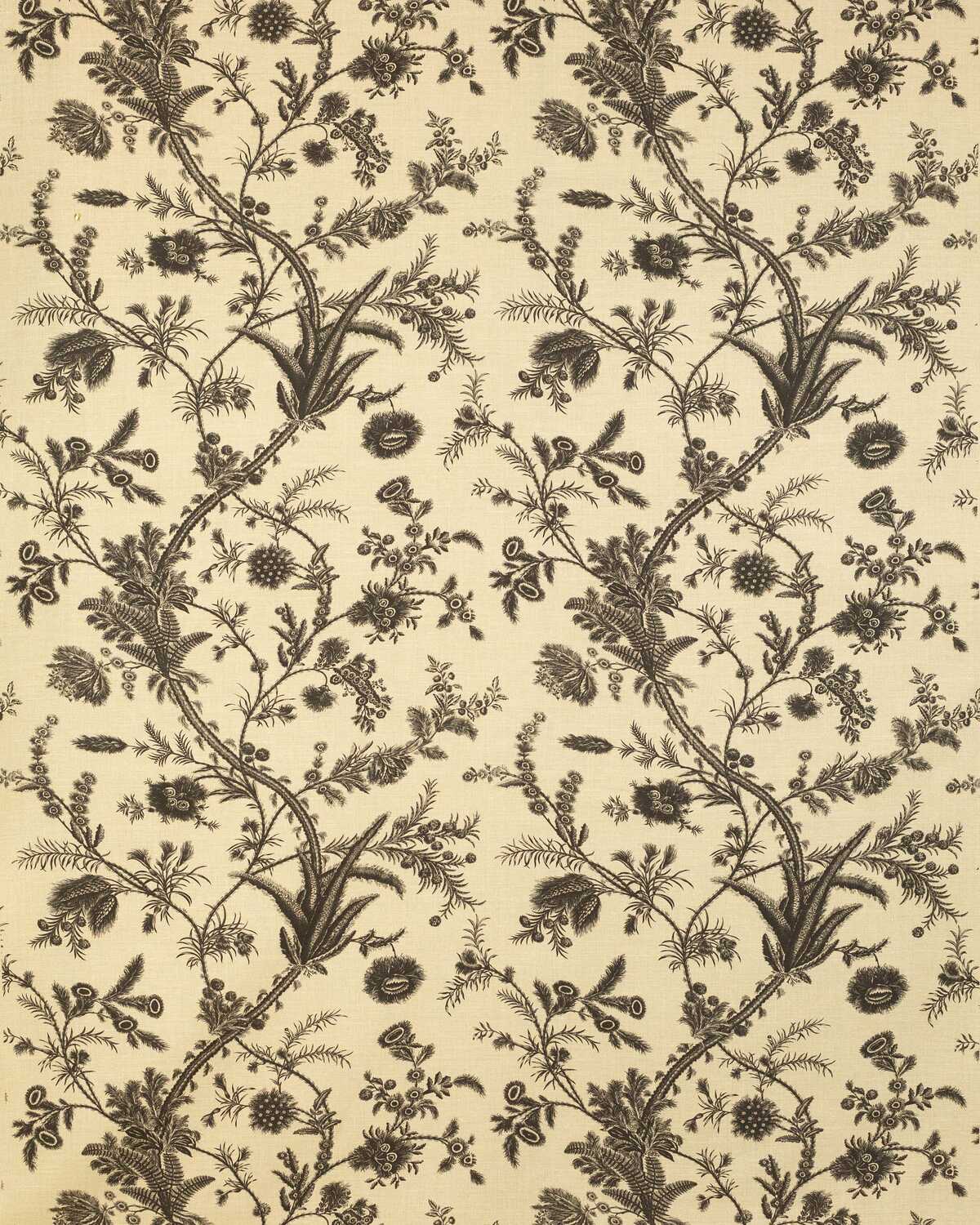 Plumes - Black - LEE JOFA Tela