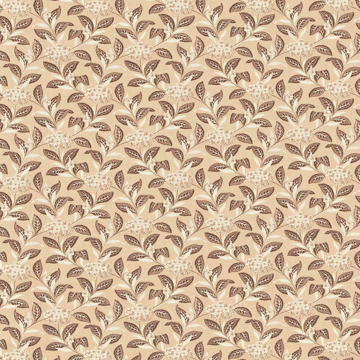 Ortensia - Brown On Blush - LEE JOFA Fabric