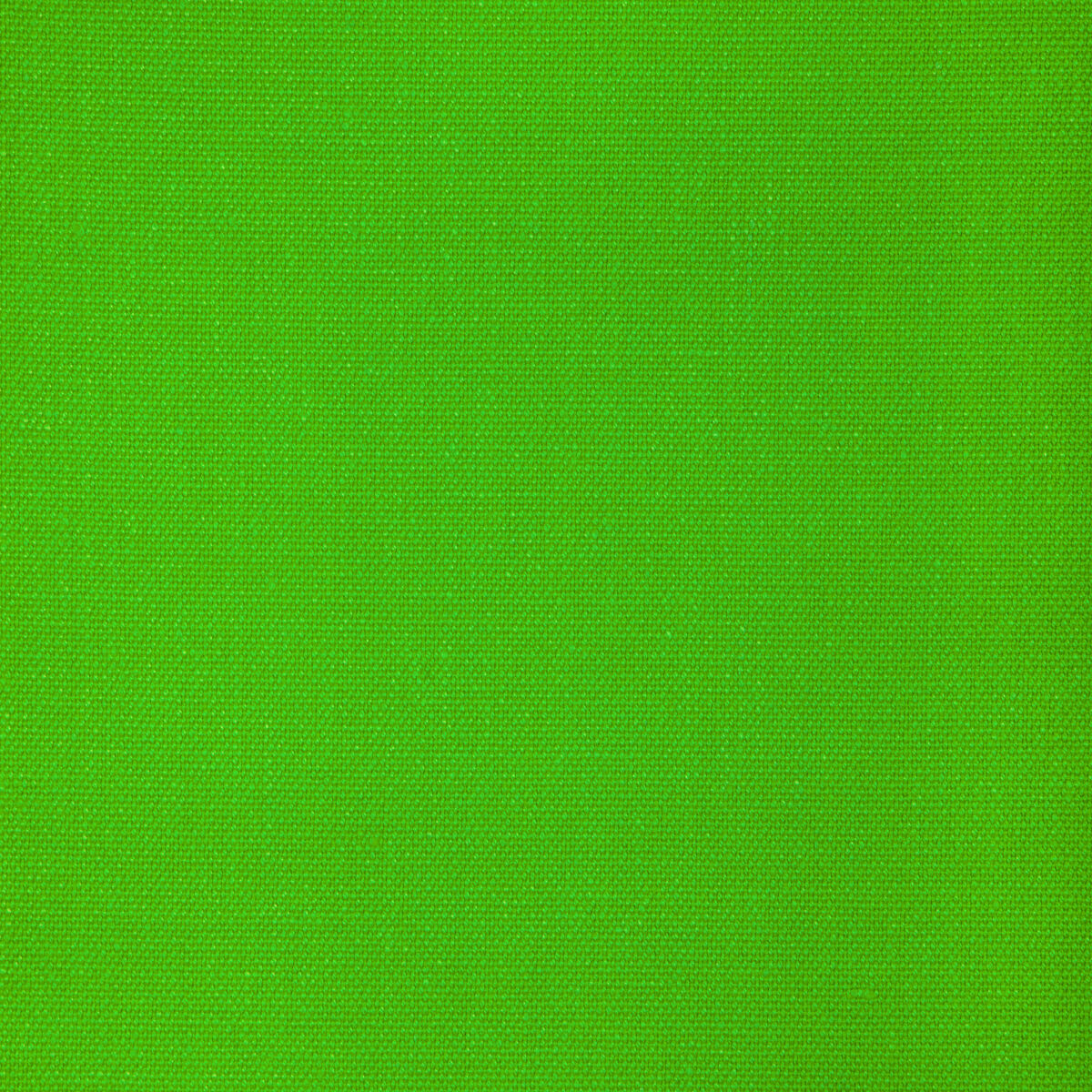 Sarasota Weave - Wild Lime