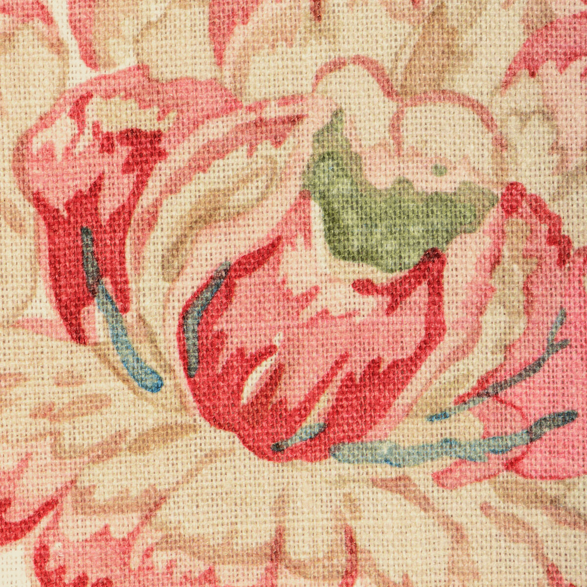 Rosemont Print - Rose