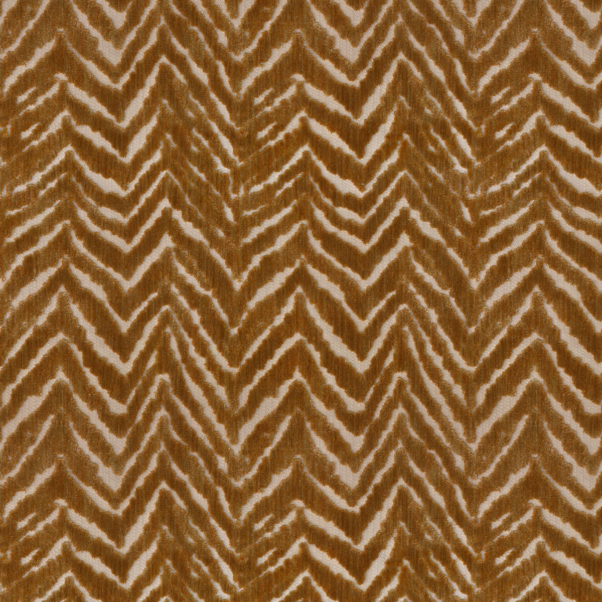 Nairobi Velvet - Gold